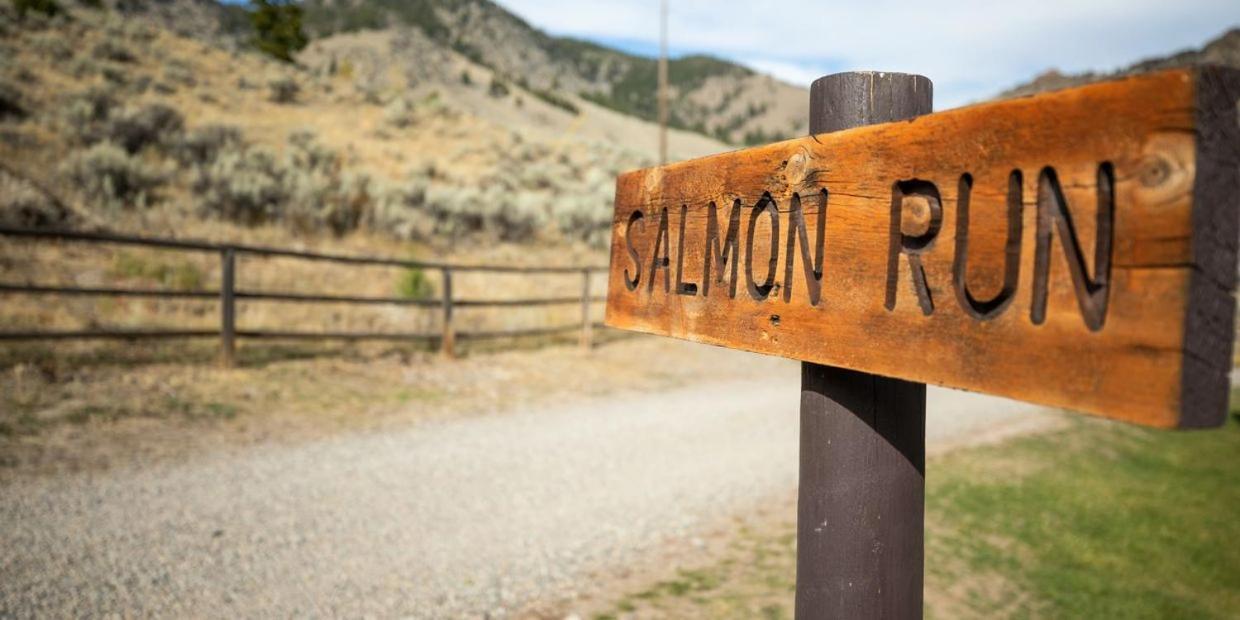 Twin Peaks Guest Ranch Villa Salmon Eksteriør bilde